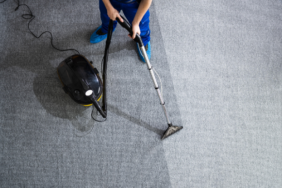 Professional Carpet Cleaning